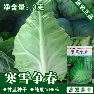 ţ�ĸ��{�N�Ӹ��{�Ѹ��m�N�Ӿ��Ĳ˷N���߲˷N�����l�˷N���ѷN��