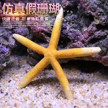 仿真假珊瑚礁石造景树脂贝壳鱼缸装饰水族箱摆件海水缸布景小海星