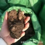 腐熟生物有机发酵肥料