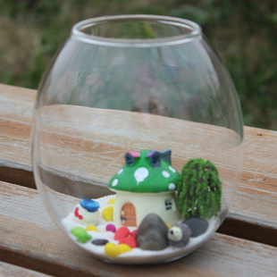 Transparent oval glass closed hydroponic glass vase micro landscape glass bottle succulent plant vase