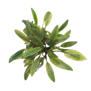 С���Ƚ��� ���wˮ���~ˮ�� �~���^�p�쾰�b� ��ˮ�� ���ˮ��