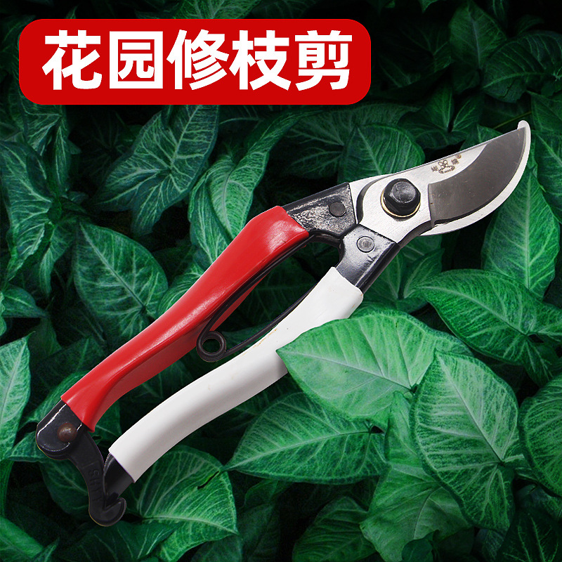 现货批发省力手动修枝剪 蝴蝶果枝剪多功能树枝剪园林绿化剪