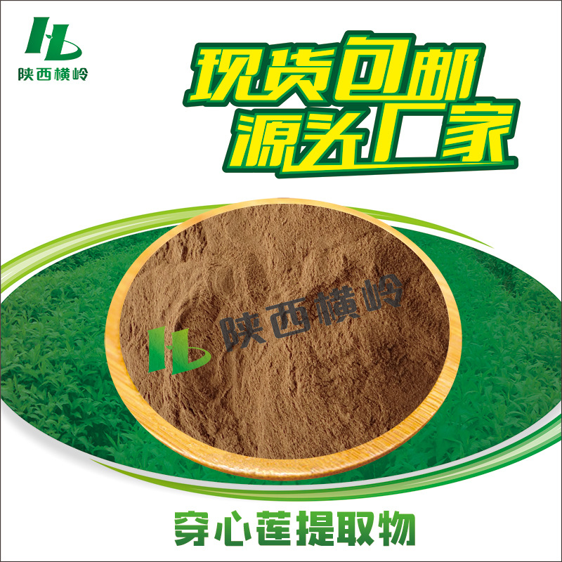 穿心莲提取物 50:1高比例 10%穿心莲内酯 横岭供应 穿心莲粉 包邮
