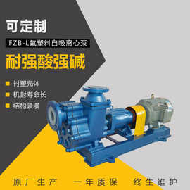 FZB衬氟自吸离心泵 次氯酸钠卸料泵 卧式化工泵 腾龙泵阀