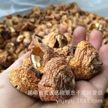 新货姬松茸帽子-大量批发姬松茸 巴西菇 姬松茸碎片付品菇 帽子