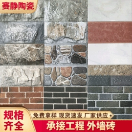 地面砖;外墙砖;其他瓷砖
