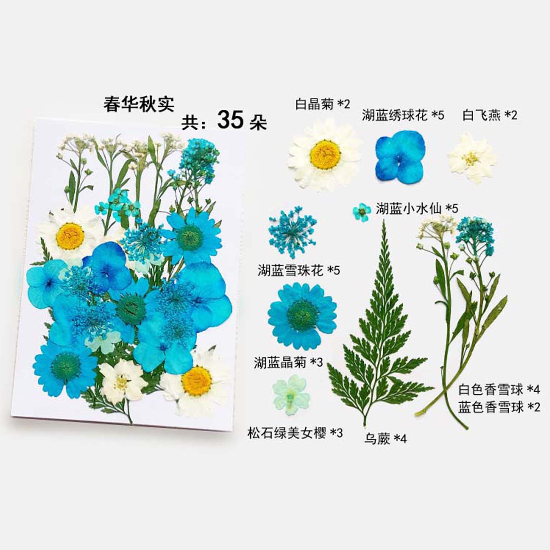 En relieve DIY flor seca paquete de material en relieve epoxi cáscara del teléfono móvil planta espécimen foto pegatina cara planta de maquillaje espécimen