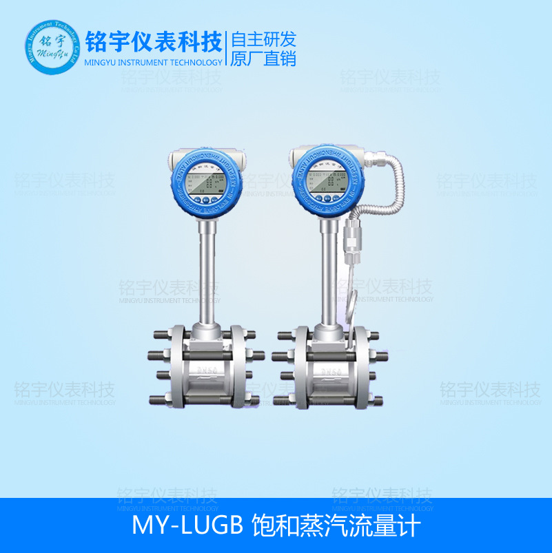 饱和蒸汽流量计过热饱和蒸汽流量计一氧化碳流量计空气流量表厂家