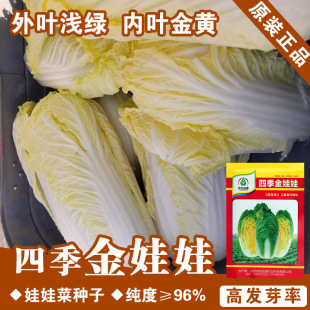 ���޲˷N�����޲˷N��С�ײ˷N���߲˷N�����l�˷N���Ѳ˷N�ӹ�˾