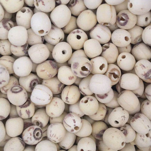 ���]������ɏ ȥо��ɏ �ֹ�ĥɏ �oоĥƤɏ�� �|���� ֧�ִ��l