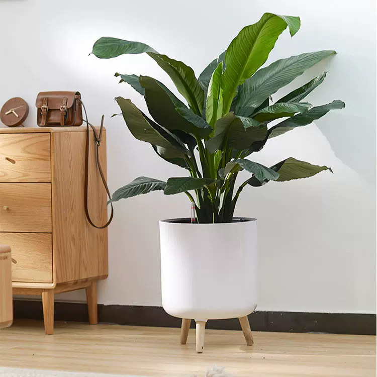 莱之秀自动吸水花盆 现代简约带脚绿植落地懒人自动吸水花盆 批发