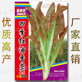 �ļ��t�����{�˷N�ӡ�С���b�������� �t�~������ �߲˷N�����l