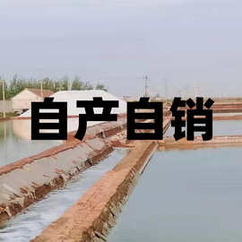 现货批发工业用盐  软水盐/海晶盐/海水晶/饲料盐 日晒海盐盐场发
