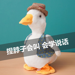 Internet celebrity electric gentleman straw hat sand sculpture repeating duck singing recording nodding and learning to speak plush toy electric doll