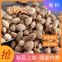 砂仁 毛砂仁干果 卤水炖肉火锅香料调味料香料大全精选醇香五香