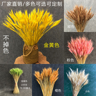 Barley Dried Flower Flower Art Golden Wheat Ear Wedding Wedding Shopping Mall Opened diy Venue Layout Eternal Flower Wholesale
