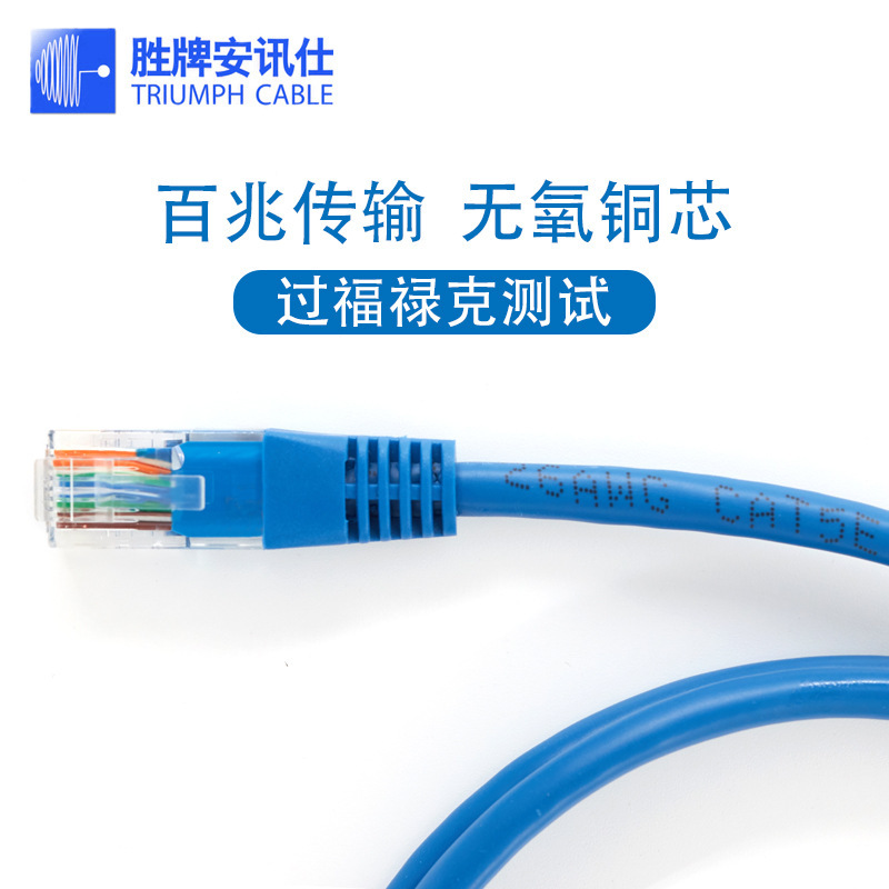 Axs Oxygen-Free Copper Category 5E Network Jumper Injection Molded Finished Cat5E Home Monitoring Computer Network Cable