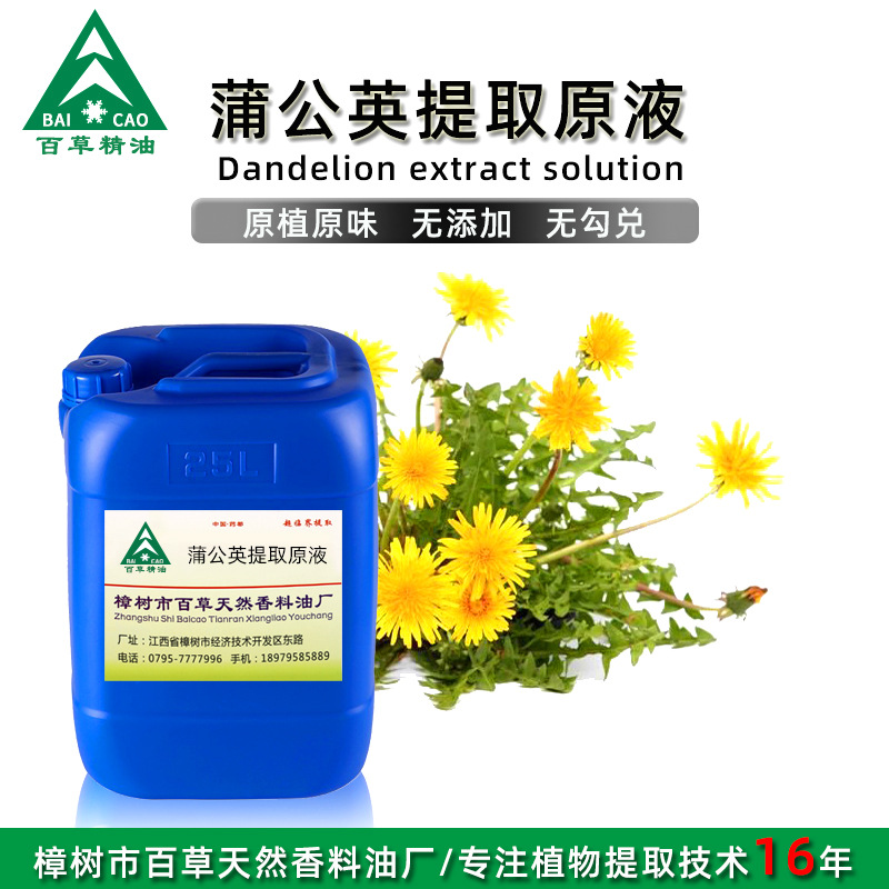 厂家批发 蒲公英提取液 萃取原液 植物提取液 原植原味 按摩液