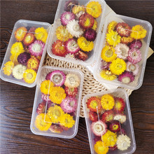 ���ϸɻ��滨�ڼ��߲ʾջ���DIY��ͷ��Ѿ�ֲ��ɻ����ռҾ�װ��