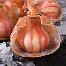 ԭз�� ����з�� ���ô�з��50g/ֻ������ʳ��110ֻ