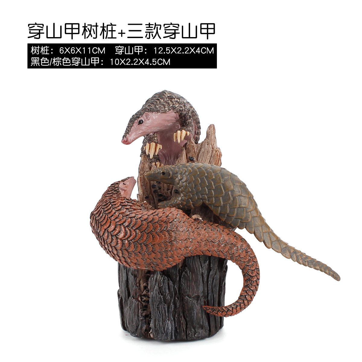 Pangolín muñón + tres pangolín 0.358kg