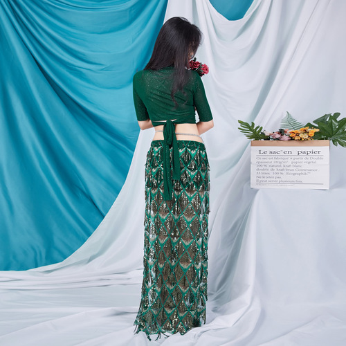 Dancer Belly Dance Costume Female Long Skirt Performance Suit Short Sleeve Summer Practice Suit Beginner Sexy 5577