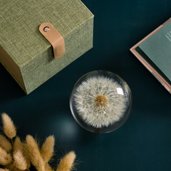 Dandelion Crystal Ball Ornament as Christmas Gift for Girlfriend, Sunflower Lover Crystal Ball Birthday Gift for Girls M2