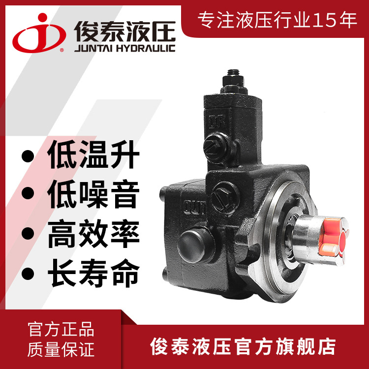 (厂家新品）俊泰俊菱牌 低温升  变量叶片泵VP-SF-20-D联轴器油泵