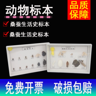 �˱�   ���Q����ʷ�˱� ���x�˱� ��Ҋ6�N�������x�˱�