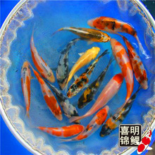 ���N�ձ��\���~��ˮ�����lӆُ�M����