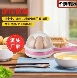 电热饭盒;煮蛋器;电蒸锅