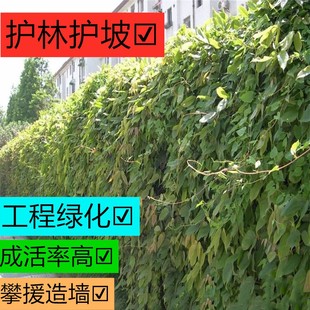 �ɶ����ش������۳��G�������o���o�²����~��������ֲ��ţ�R�v