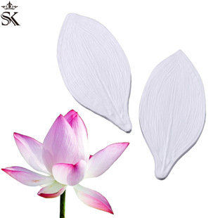 SK��� �ɻ����� ���~�y·��ģ ���ǵ�����zģ�� ��ͥ�決����