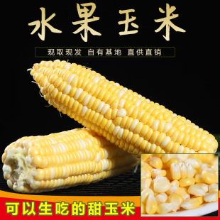 ��Ͻ��yˮ���������r���������װ�����ճŴ������һ�����l