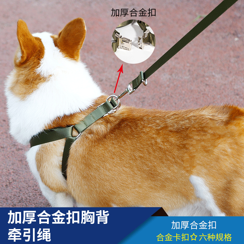 Perro engrosada aleación hebilla pecho y espalda cuerda de tracción al por mayor Golden Retriever frontera cría de animales perro grande correa de tracción perro cuerda perro Cadena de perro