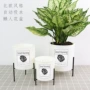 吸水跨境塑料绿植花盆