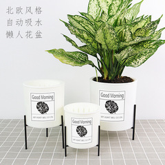 Nordic Style Flower Pot Iron Stand Orchid Green Plant Plastic Self-Watering Lazy Pot Amazon Cross-Border Wholesale