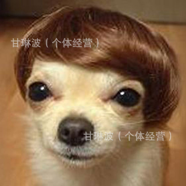 Venta al por mayor de fábrica 2024 populares suministros para mascotas, pelucas para la cabeza, pelucas divertidas para mascotas a la moda para perros famosos