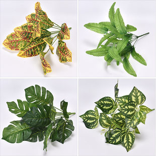 Simulation Plant Green Plant Plant Plant Wall Waterfront Material Decoration Simulation Leaf Permanent Glucool Persia Pseuda