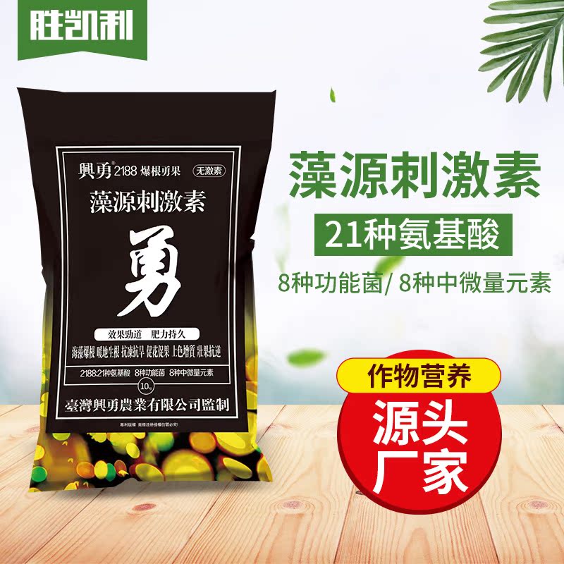 厂家微生物菌剂 生根剂矿源黄腐酸钾鱼蛋白生物刺激素兴勇爆根勇