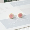 Ceramics, fresh universal earrings, accessory, Japanese and Korean