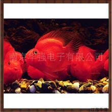 ���S��ֱ�N��ˮ�����/�~��^�p��/ˮ�ݟ� ��Դ