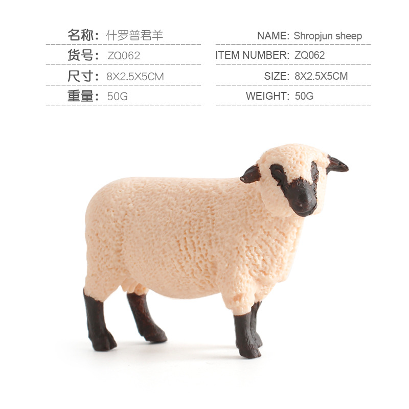PL127-062 Shrop Junyang 0,05 kg