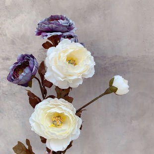 3�^������ŵ��õ���滨�����Ӱ巿�e���bWʽ