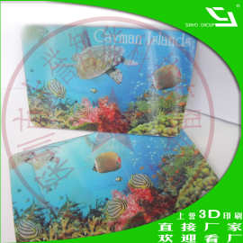 价格,3d卡片图片光栅3D卡三维立体变换变上誉