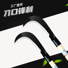 �S�ҹ����S�_�� ľ��С�h�� �i��r�� ��֦ ��� �������砵�