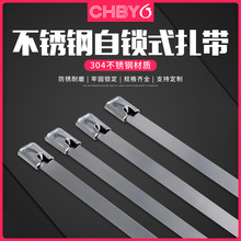 ���i304���P�����늾�����䓗l����4.6mm���������ù̶���������