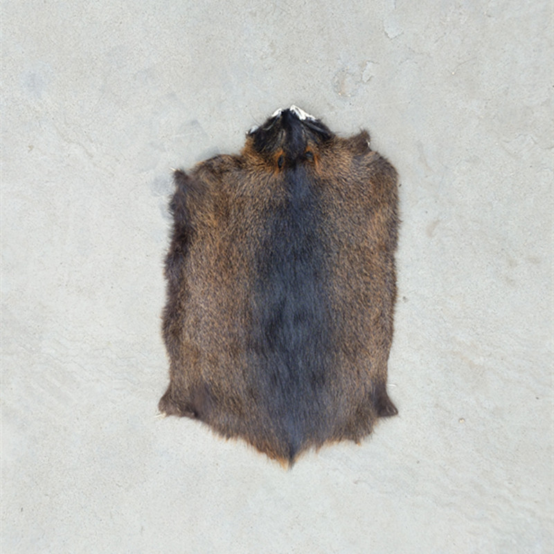 Factory wholesale Sea mink skin Furniture and Decoration Fur one automobile decorate Fur Arts and Crafts Nutria