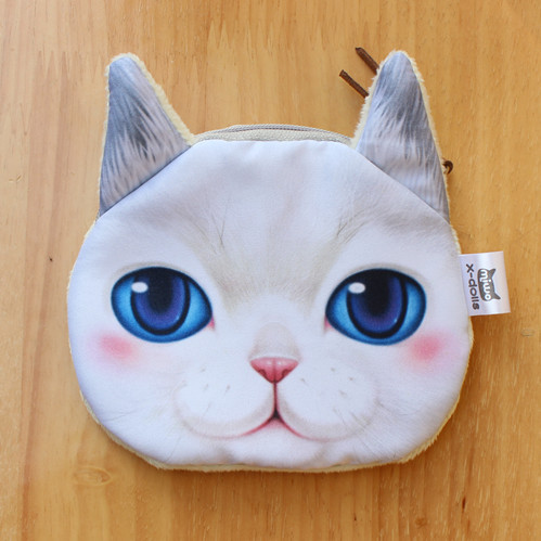 Cute cat white