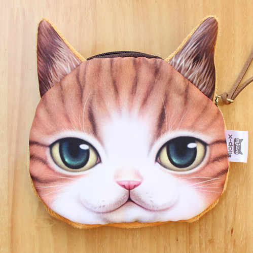 Cute cat yellow